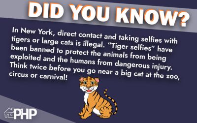 Did You Know?