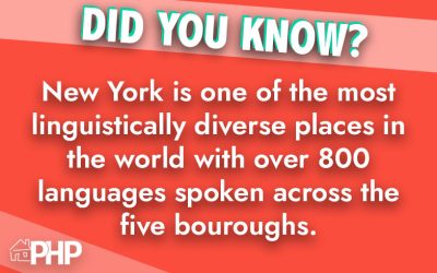 Did You Know?