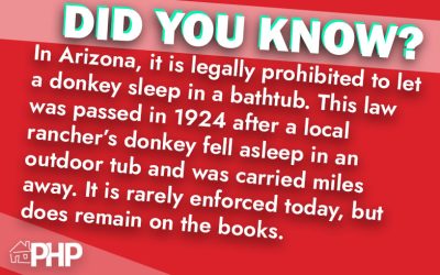 Did You Know?